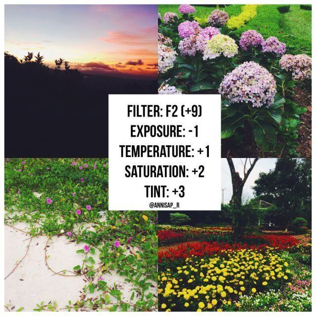 Rumus VSCO Alam 40