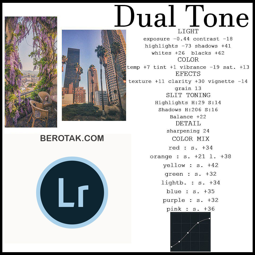 Rumus Lightroom Dual Tone 1