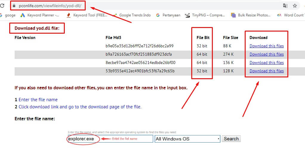 Download file DLL