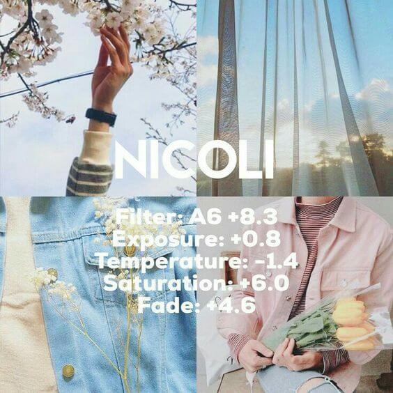 3 Preset VSCO Aesthetic Nicoli