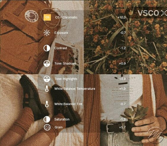 5 Preset VSCO Aesthetic brown