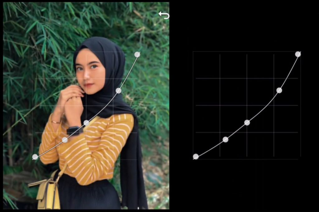 Kurva Rumus Lightroom Dark Green Terbaru 2021