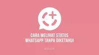 Cara Melihat Status WhatsApp (WA) Orang Lain Tanpa Diketahui Pemiliknya