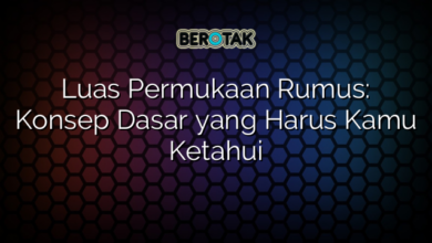 Luas Permukaan Rumus: Konsep Dasar yang Harus Kamu Ketahui