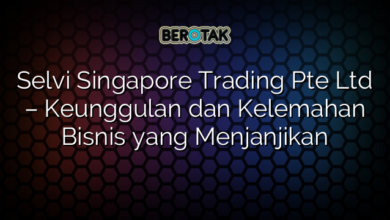 Selvi Singapore Trading Pte Ltd – Keunggulan dan Kelemahan Bisnis yang Menjanjikan